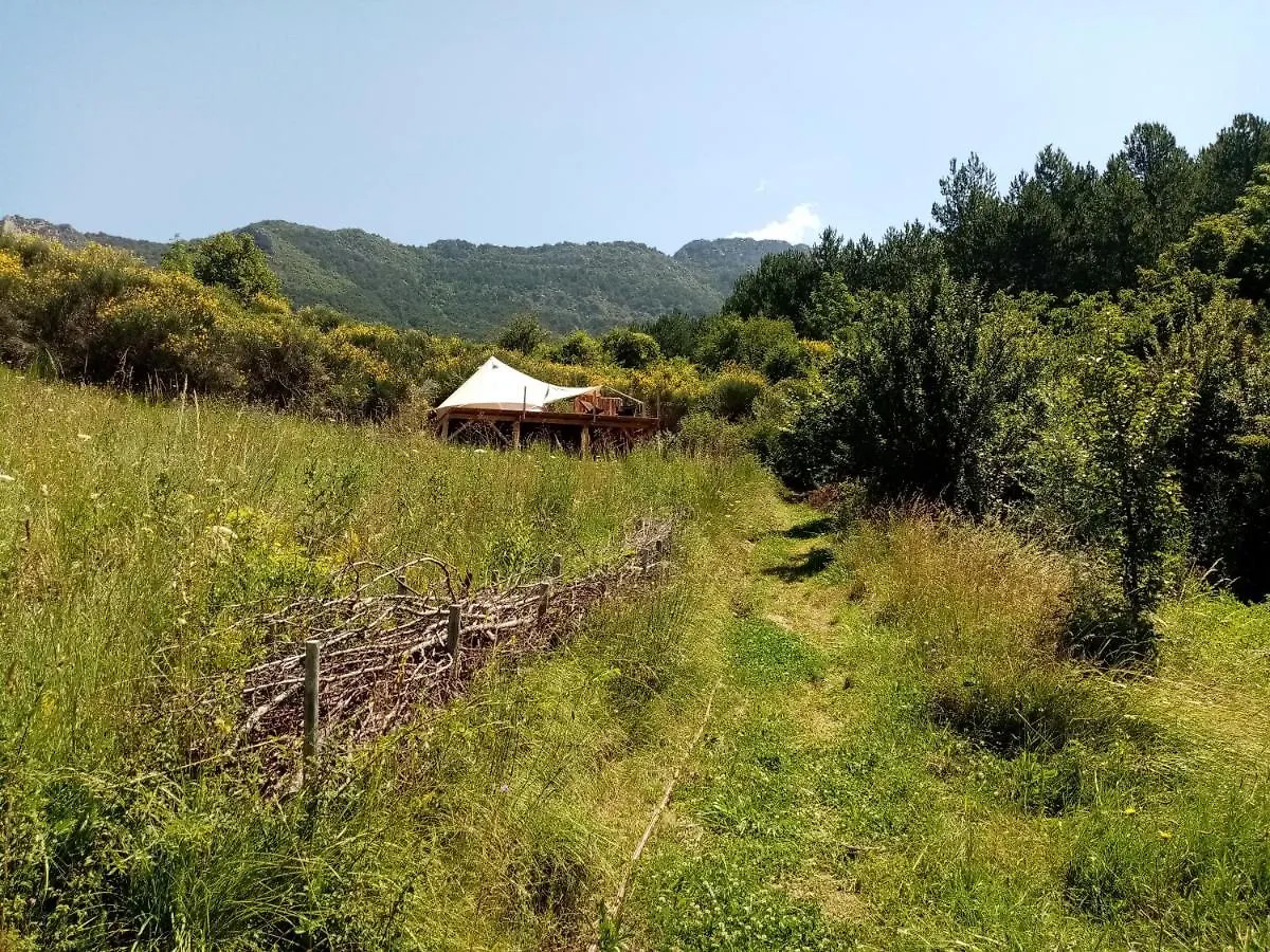 Luxury tent Ecolodge De La Ferme Du Chant De Cailloux Die